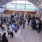 El Ministerio de Salud abrió este miércoles 8 de diciembre en Quito nueve centros de vacunación masiva para la población de 5 a 17 años.