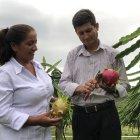 Situación. Armida Carvajal señala que en Los Ríos, el valor por kilo ha decrecido entre el 60 % y 70 %.