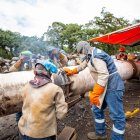 La cartera de Estado ha señalado que los trabajos de reparación se realizan las 24 horas del día.