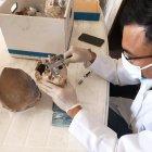 Los arqueólogos analizaron las osamentas de la reserva.