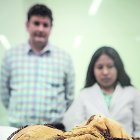 ACOMPAÑA CRÓNICA: PERÚ ARQUEOLOGÍA - AME3548. LIMA (PERÚ), 10/12/2021.- Fotografía de la momia de Cajamarquilla frente a Yomira Huamán (d), la arqueóloga de la Universidad Nacional Mayor de San Marcos (UNMSM) que ha liderado las investigaciones en el complejo arqueológico de Cajamarquilla junto a su profesor Pieter Van Dalen (i), responsable del proyecto, el 9 de diciembre de 2021, en Lima (Perú). Inmovilizada con cuerdas por todo su cuerpo y con la cara tapada por sus manos, la momia de Cajamarquilla, en Perú, parece que evita mirar todo lo que le rodea desde hace mil años, cuando fue enterrada en esa posición, en la que permaneció oculta hasta recientemente ser hallada en la periferia de Lima. El cadavérico rostro que se esconde detrás de las escuálidas manos puede llegar a recordar a "El Grito", la famosa pintura de Edvard Munch, una agónica escena acentuada en este caso por la posición fetal del cuerpo, muy común en los entierros prehispánicos. EFE/ Str