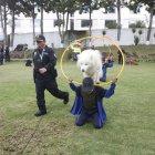 Show. Las acrobacias de los canes policías arrancaron risas a los niños.