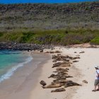 El archipiélago de Galápagos tiene buenas expectativas para el último feriado del año; sin embargo, aún recibe pocos turistas extranjeros.