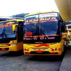 El accidente se registró la noche del 25 en el anden de parada de la Terminal Terrestre Jaime Roldós Aguilera en Guayaquil.