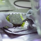 Toma de muestras de un bloque de sedimentos para el análisis de ADN antiguo.