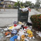 Mucho Lote 1. Hasta hace una semana, el parque lineal lucía así por la acumulación de basura que genera la aparición de moscas, roedores.