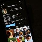 Fotografía hoy de la cuenta de Instagram de "Brownie", el perro del presidente electo de Chile, Gabriel Boric, este 30 de diciembre de 2021.