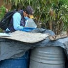 Personal del Ministerio de Salud ejecuta inspecciones de tanques y eliminación de criaderos.