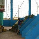 Mercado. Así, sin clientes, permanece el centro de abastos # 4. Ni por las fiestas de diciembre hubo más clientes en el lugar. En el mercado "25 de Septiembre" el panorama es igual.