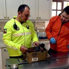 Problema. El tráfico de especies como el mono es un delito recurrente.