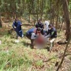 La víctima se encontraba en estado de gestación cuando ocurrió el crimen.