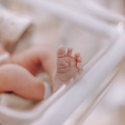 La tasa de natalidad ha caído hasta 7,52 nacimientos por cada 1.000 habitantes.