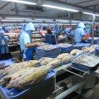 Ventas. El sector de enlatados de atún también tuvo un buen desempeño.