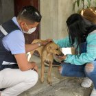 El momento en el que el animal es rescatado en Lomas de la Florida.