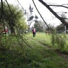 El Cabildo capitalino dispuso la contratación de 66 guardias de seguridad para los parques de la ciudad.