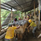 Minería. Hay dos instrucciones fiscales abiertas con cinco procesados.
