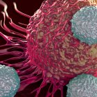 Cada día los investigadores hallan nuevas formas de combatir el cáncer, la segunda causa de muerte en el mundo.