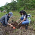 Estudiantes participaron en la siembra de árboles en el Cerro Protector El Pariso.