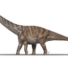 Reproducción del dinosaurio titanosaurio Abditosaurus kuehnei cedida por el Institut Català de Paleontologia.