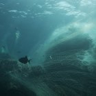 Redes de pesca abandonadas en el mar.