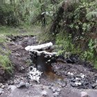 Residuos. El Ministerio de Ambiente supervisa las labores de limpieza en el sector Piedra Fina, provincia de Napo.