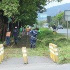 Acciones. Ayer hubo un brigada de fumigación y para cortar maleza a lo largo de toda la vía a la costa.