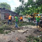 Retiran Arbol Caido en Chongo