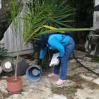 Desde que hubo la alerta del caso, en la ciudad se han incrementado los fumigaciones.