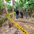 Agrocalidad asegura estar realizando constantes monitoreos; en el 2021, dice, se ejecutaron más de 21.000. No obstante, esto no llega a todas las plantaciones afectadas.