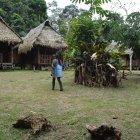 Para cuidar el legendario ceibo se prohíbe la tala de los árboles. Esta comunidad conserva sus bosques primarios.