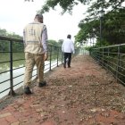En algunos tramos del Malecón Universitario hay gran cantidad de hojas secas que caen de los árboles, frutos en descomposición y heces de iguanas y pájaros que emanan malos olores.