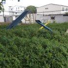 Los parques se encuentran llenos de maleza