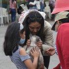 Una treintena de mascotas acompañaron a los ecuatorianos en el segundo vuelo humanitario.