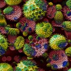 Las variantes del coronavirus son muchas.