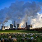 Imagen de archivo de la planta de Neurath en Bergheim (Alemania)