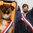 Brownie a conquistado a varios usuarios de las redes sociales.