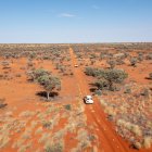 Los ecologistas intentan que los paisajes quemados y destruidos vuelvan a reverdecer, también con la ayuda de drones. Foto: Peter Wallis /DPA