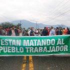 Los productores piden al Gobierno intervenir con compras, para evacuar la sobreoferta.