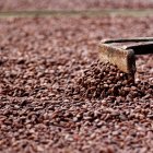 Fotografía de archivo del proceso del cacao en una planta de procesamiento.