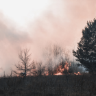 Incendios forestales