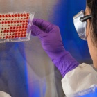 Un estudio dirigido por investigadores de UTHealth Houston (Estados Unidos) ha estudiado los anticuerpos de los niños.