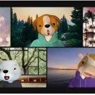 Por el momento, Zoom solo ofrece avatares de animales