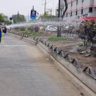 El Municipio ha procurado sembrar nuevas especies nativas en avenidas como la Benjamín Carrión, la autopista Narcisa de Jesús y otros.