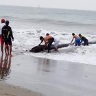 Tragedia. La menor fue golpeada por un tronco.