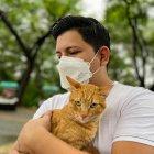 Adopción. Cinco perros y dos gatos encontraron nuevos hogares.