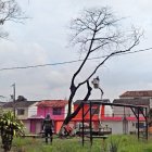 Personal de áreas verdes cortan las ramas de los arbustos