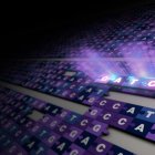 Los científicos han publicado la primera secuencia completa y sin fisuras de un genoma humano, dos décadas después del primer borrador. Imagen: Ernesto del Aguila III, NHGRI.