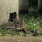 Esta es la estructura que conecta a Daule con Guayaquil, y se encuentra cerca del sector de Pascuales.