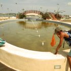Abandono. Un hombre se acerca a retirar de las piletas, que permanecen apagadas y con el agua estancada, una funda que flotaba en la estructura.