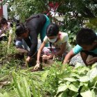 Práctica. Construir huertos es una de las actividades favoritas.